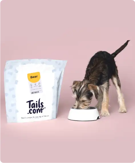 Dog eating out of a bowl next to a bag of dog food